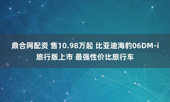 鼎合网配资 售10.98万起 比亚迪海豹06DM-i旅行版上市 最强性价比旅行车